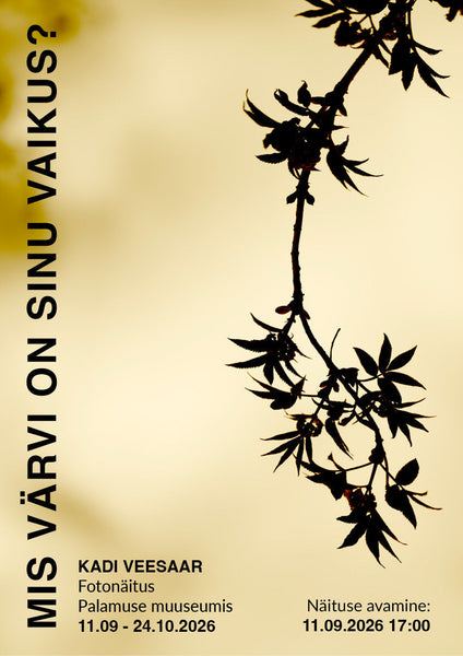 Kadi Veesaare isikunäitus "Mis värvi on sinu vaikus?"