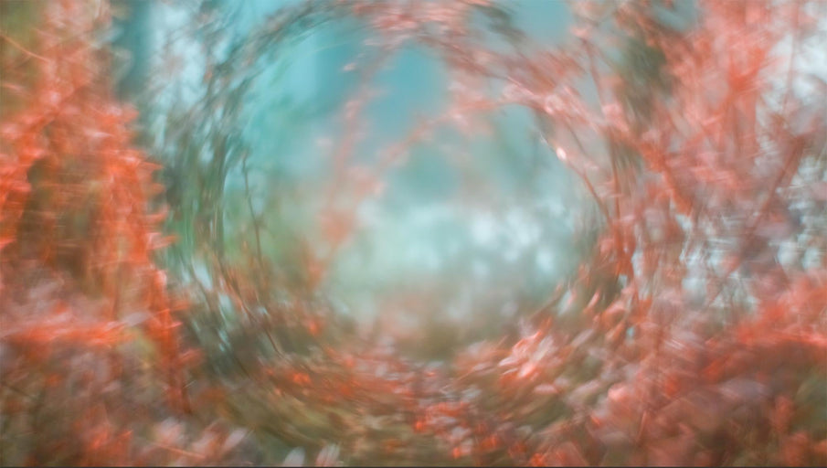 Kadi Veesaare isikunäitus "Portaal" A-Galerii aknal