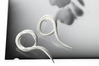 Mitsuro vines earrings