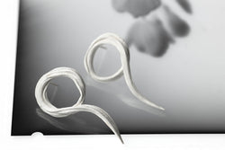 Mitsuro vines earrings